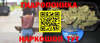 стафф Балаково