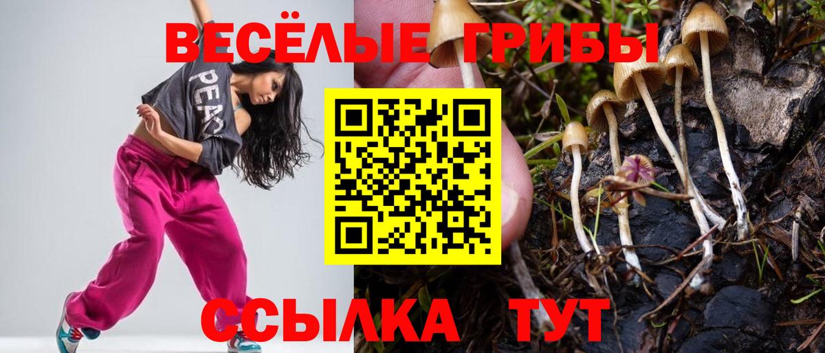 Галлюциногенные грибы GOLDEN TEACHER Жигулёвск