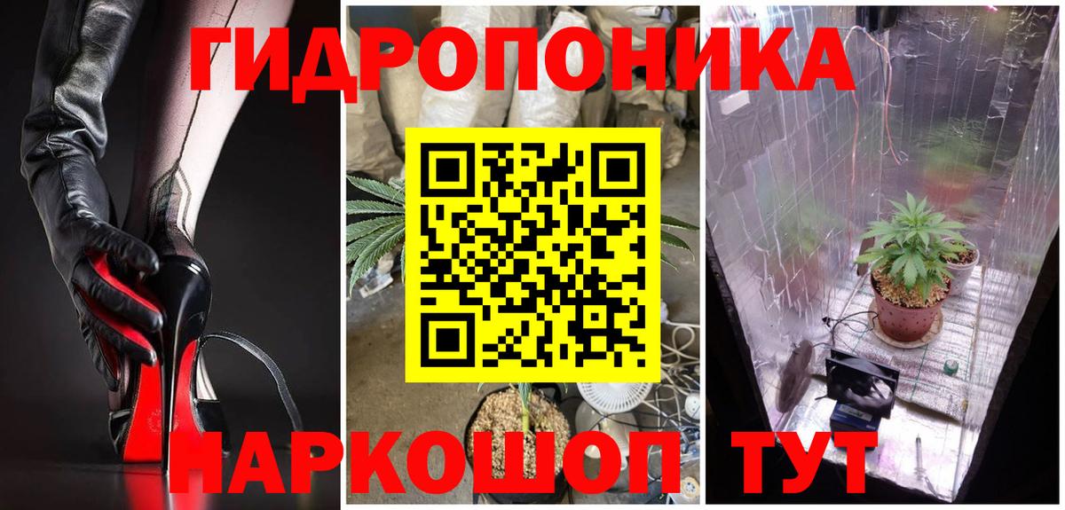 Канабис конопля  Конопля план  Жигулёвск  Вход с VPN 